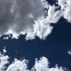 Meet your Posher, Tessa